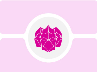 gaudi-rosa